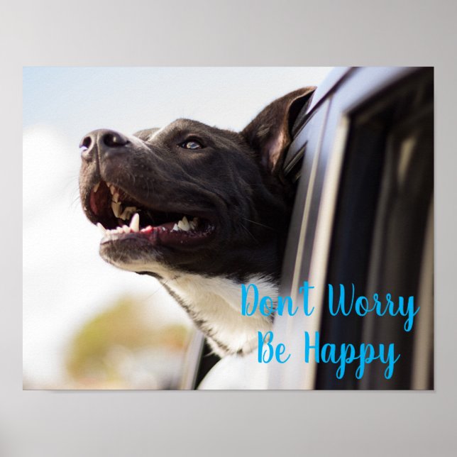 Póster El perro-poster se enfrenta a la ventana del auto  (Frente)