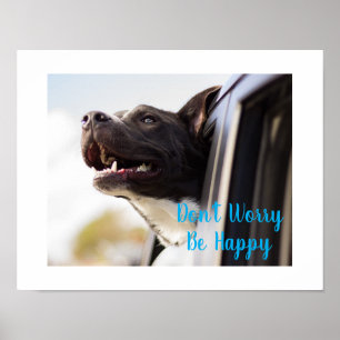 Póster El perro-poster se enfrenta a la ventana del auto 