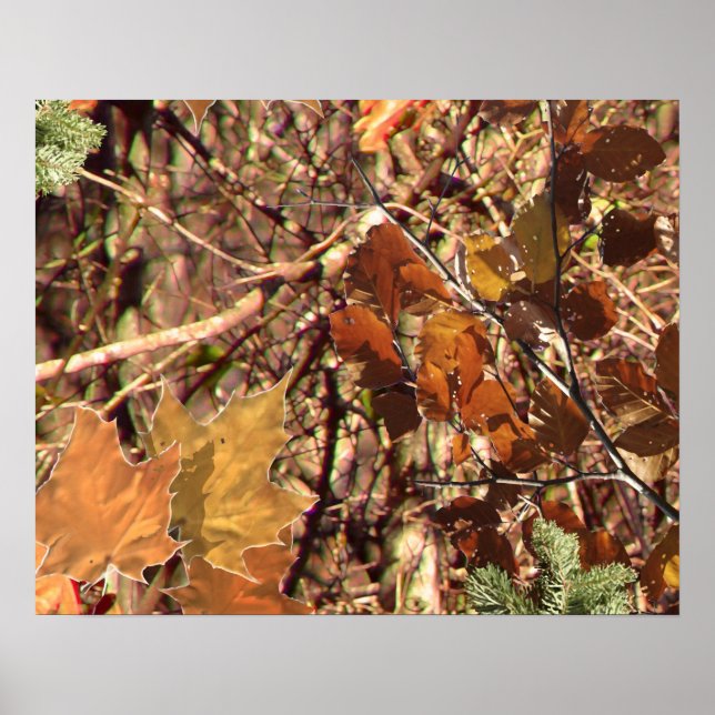 Póster El Personalizar de pintura Camo Camouflage de Hunt (Frente)