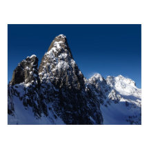 El pico de los dientes