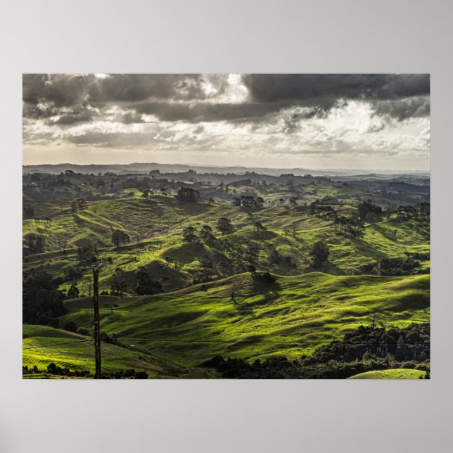 Póster El pintoresco Northland de Nueva Zelanda, hermosa  (Frente)