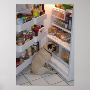 Póster El pis Pugpants de Howie ataca el poster del
