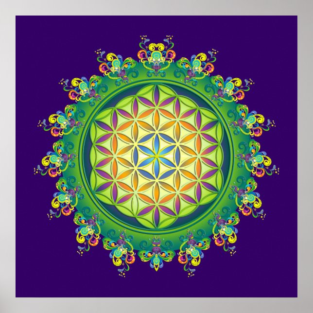 Póster El poder de las flores de la vida / Blume des Lebe (Frente)