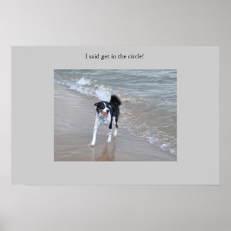 Póster El poderoso Collie