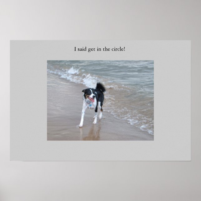 Póster El poderoso Collie (Frente)