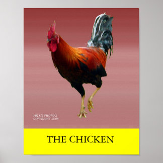 PÓSTER EL POLLO