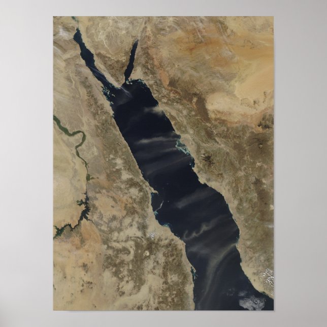 Póster El polvo se cierne sobre el Mar Rojo (Frente)