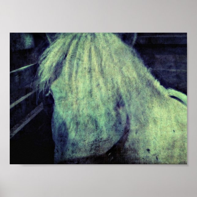 Póster El Pony (Frente)