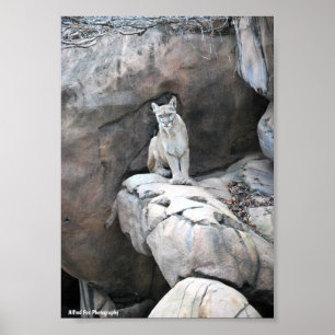 Póster El Posadero del Rey de la Montaña