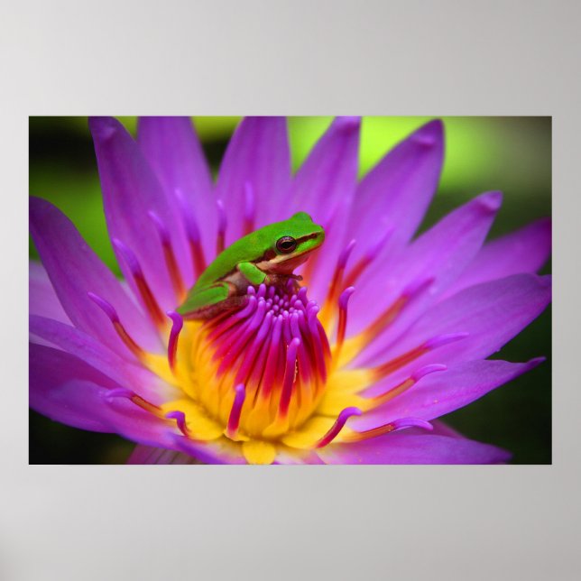 Póster El Posador (Frente)