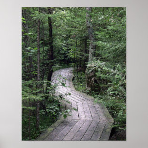 Póster El Poster "Boardwalk"