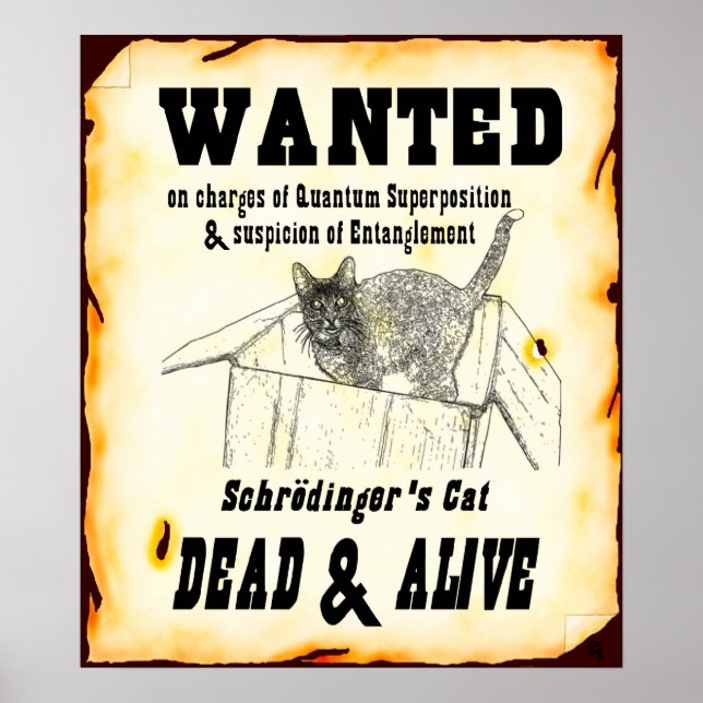 Póster El Poster "buscado" del gato de Schrodinger (Frente)