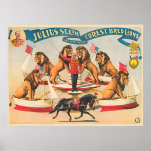 Póster El Poster Circo De Julius Ve Con Sus Leones