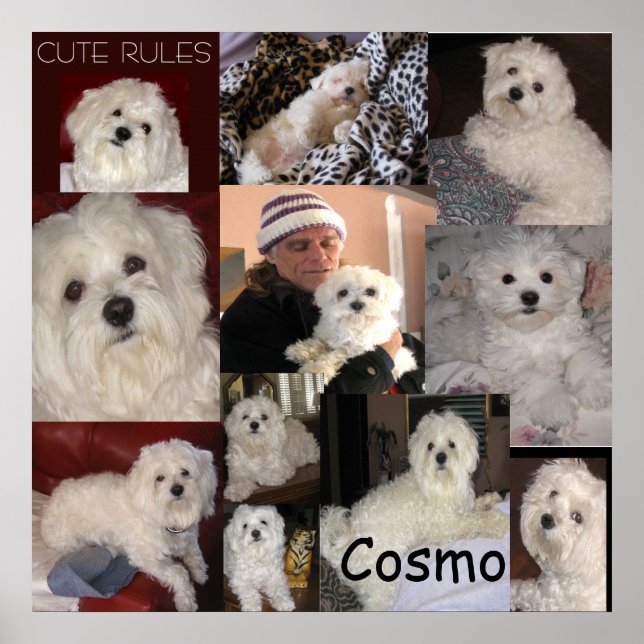 Póster El Poster Cosmo de lin (Frente)