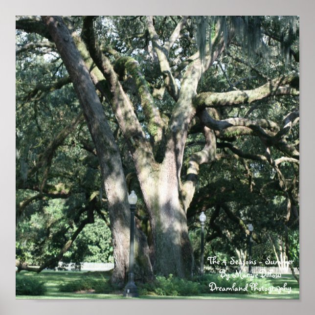 Póster El Poster de 4 estaciones-verano (Frente)