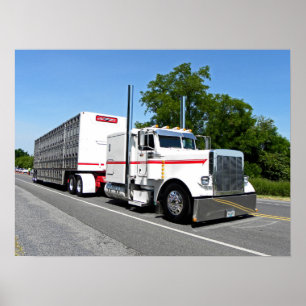 Póster El Poster de Bontrager 379