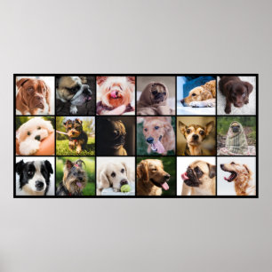 Póster El poster de Dog Lover