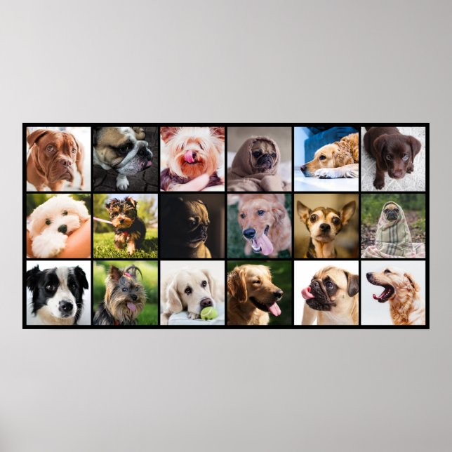 Póster El poster de Dog Lover (Frente)