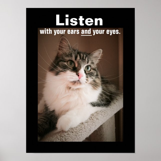 Póster El Poster de escucha (Frente)