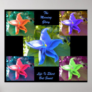 Póster El Poster de la Gloria de la Mañana