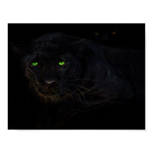 El poster de la pantera negra