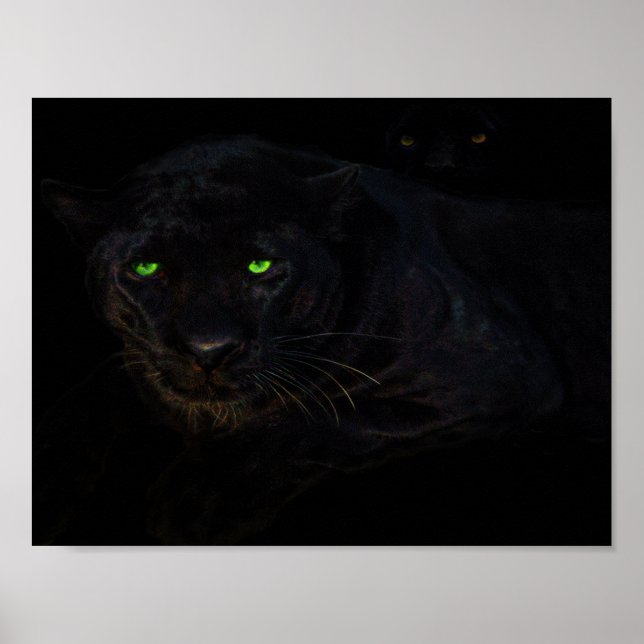 Póster El poster de la pantera negra (Frente)