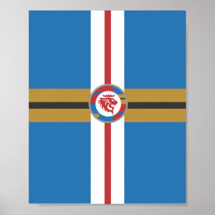 Póster El Poster de los Leones