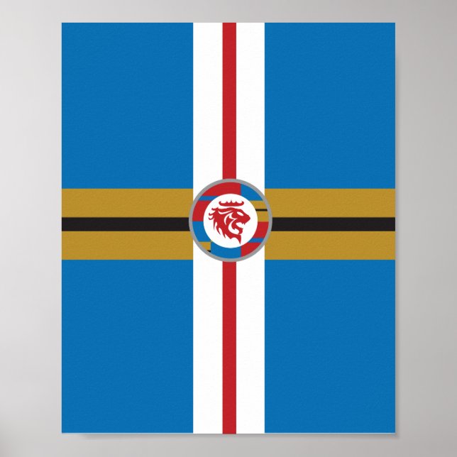 Póster El Poster de los Leones (Frente)