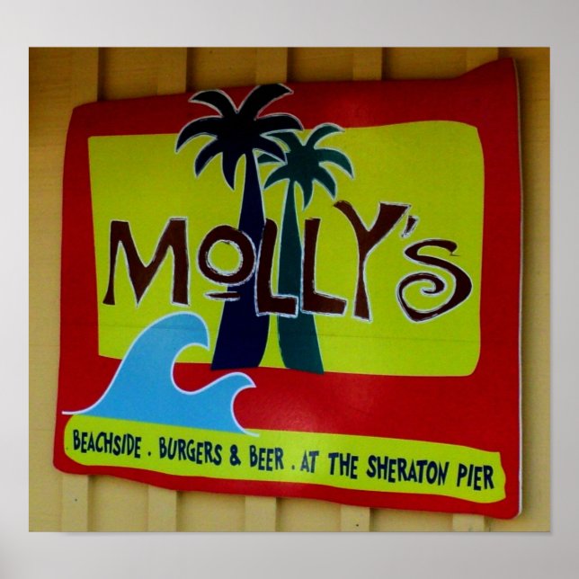 Póster El Poster de Molly (Frente)