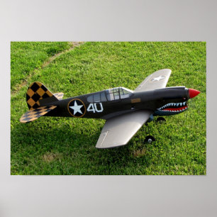 Póster El poster de P-40 Warbird