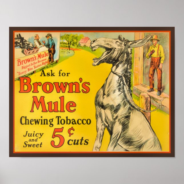 Póster El Poster de tabaco de mascado de Brown de los año (Frente)
