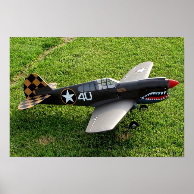 Póster El Poster de Warbird P-40 (Frente)
