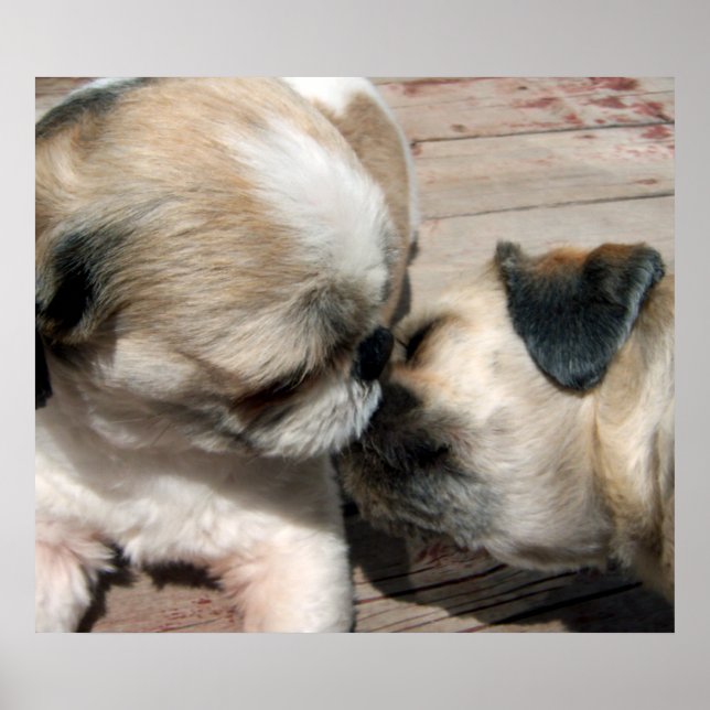 Póster El Poster del beso (Frente)