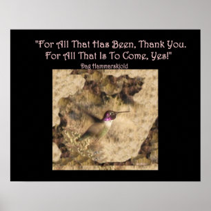 Póster ¡El poster del colibrí… le agradece y sí!