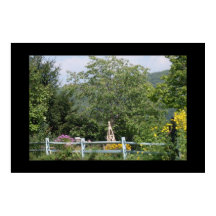 EL poster DEL JARDÍN RURAL