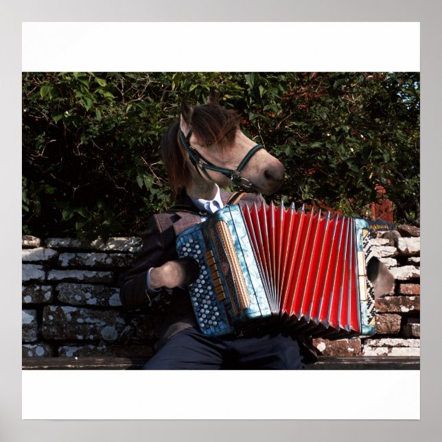 Póster El poster del jugador acordeón (Frente)