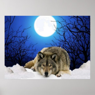 Póster El poster del lobo del vigilante