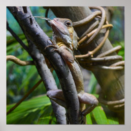 Póster El Poster del Monitor de Agua de Merten