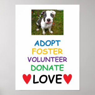 Póster El poster del perro del rescate, adopta amor