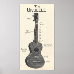 Póster El poster del Ukulele