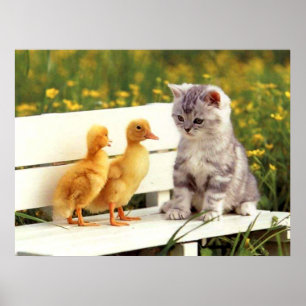 Póster El poster feo del pato