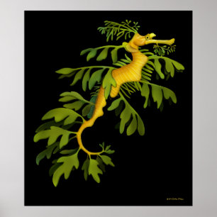 Póster El poster frondoso del Seahorse del dragón del mar