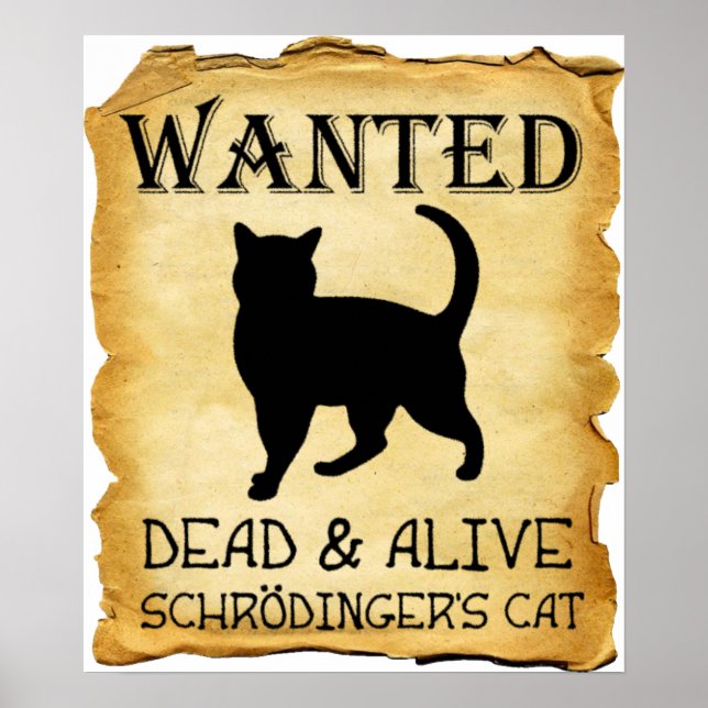 Póster El Poster gracioso de Shrodinger (Frente)