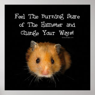 Póster El Poster Hamster