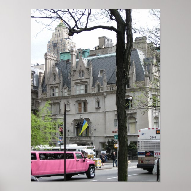 Póster El Poster Limo Rosa (Frente)