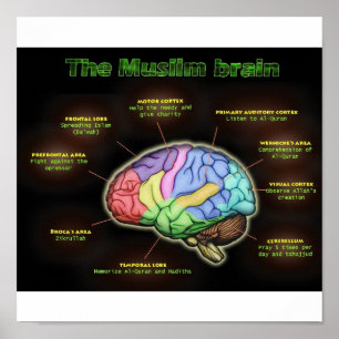 Póster El poster MUSULMÁN del CEREBRO