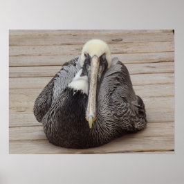 Póster El Poster Pelican de la Orden