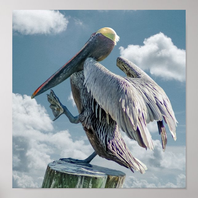 Póster El Poster pelícano bailarín (Frente)