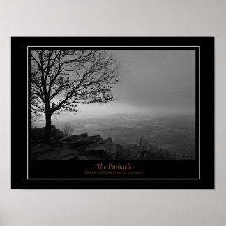 Póster El Poster Pinnacle