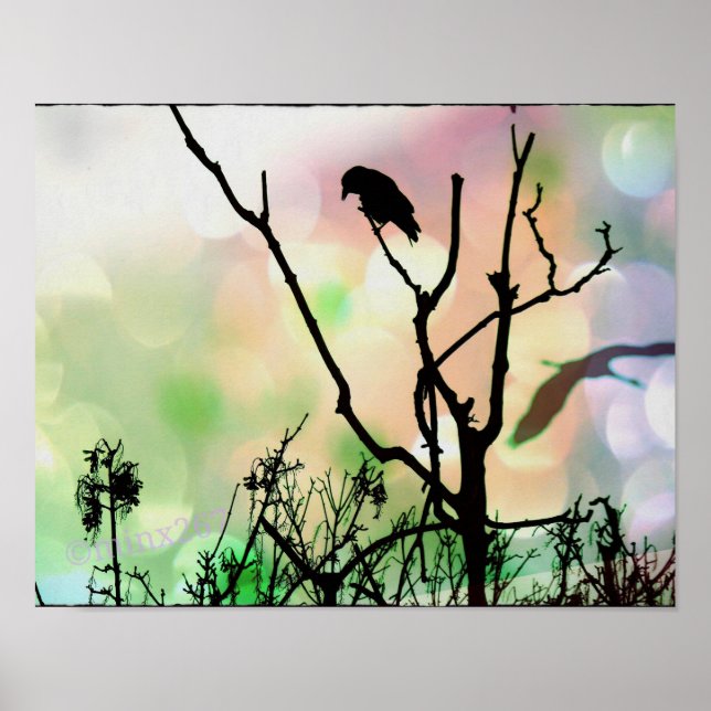 Póster El Poster solitario de los cuervos (Frente)